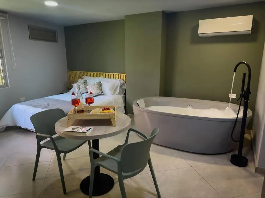 Loft Moderno Con Banera Medellin 1-03 Apartment